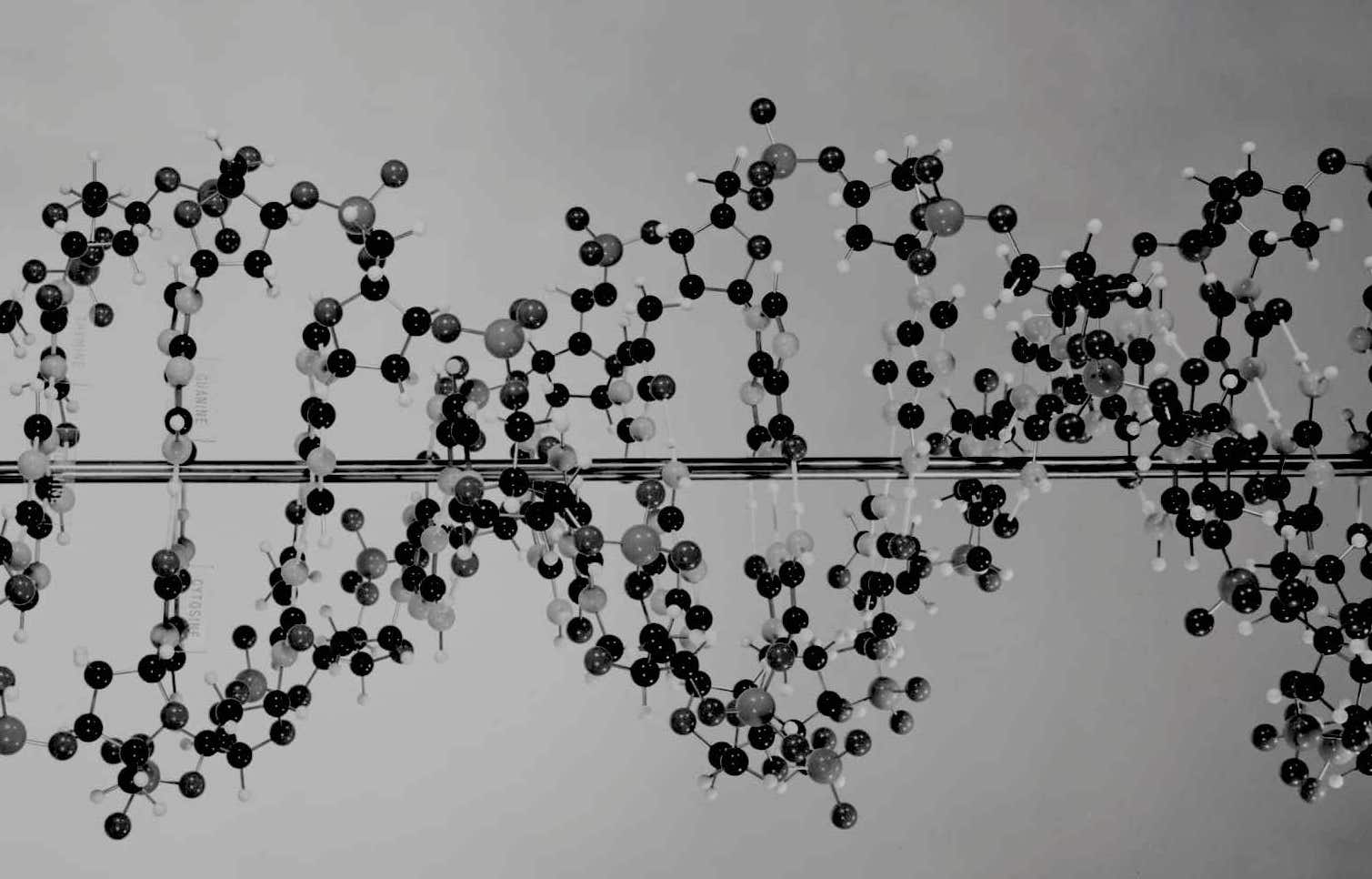 drug discovery