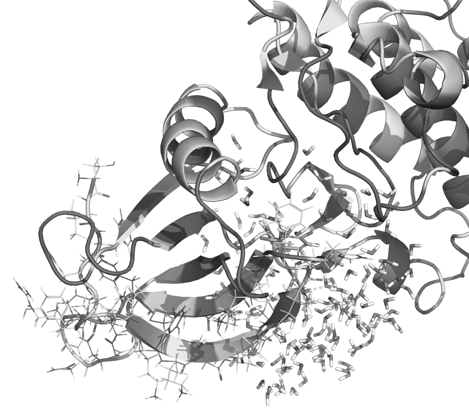 inpharmatica